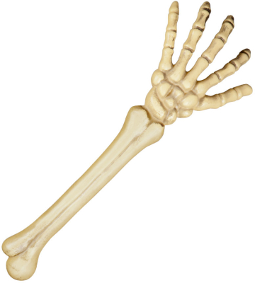 Skelet arm 45 cm
