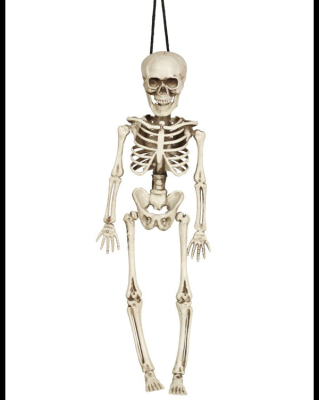 Skelet 40 cm