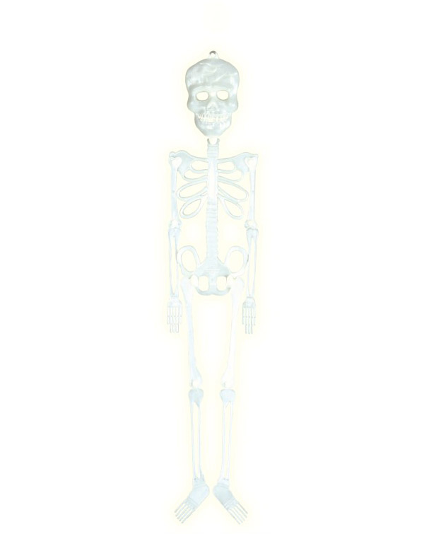 Skelet selvlysende ca. 56cm