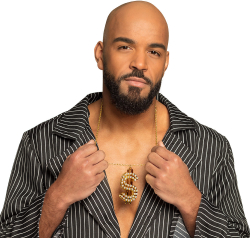 Dollar-tegn halskæde guld