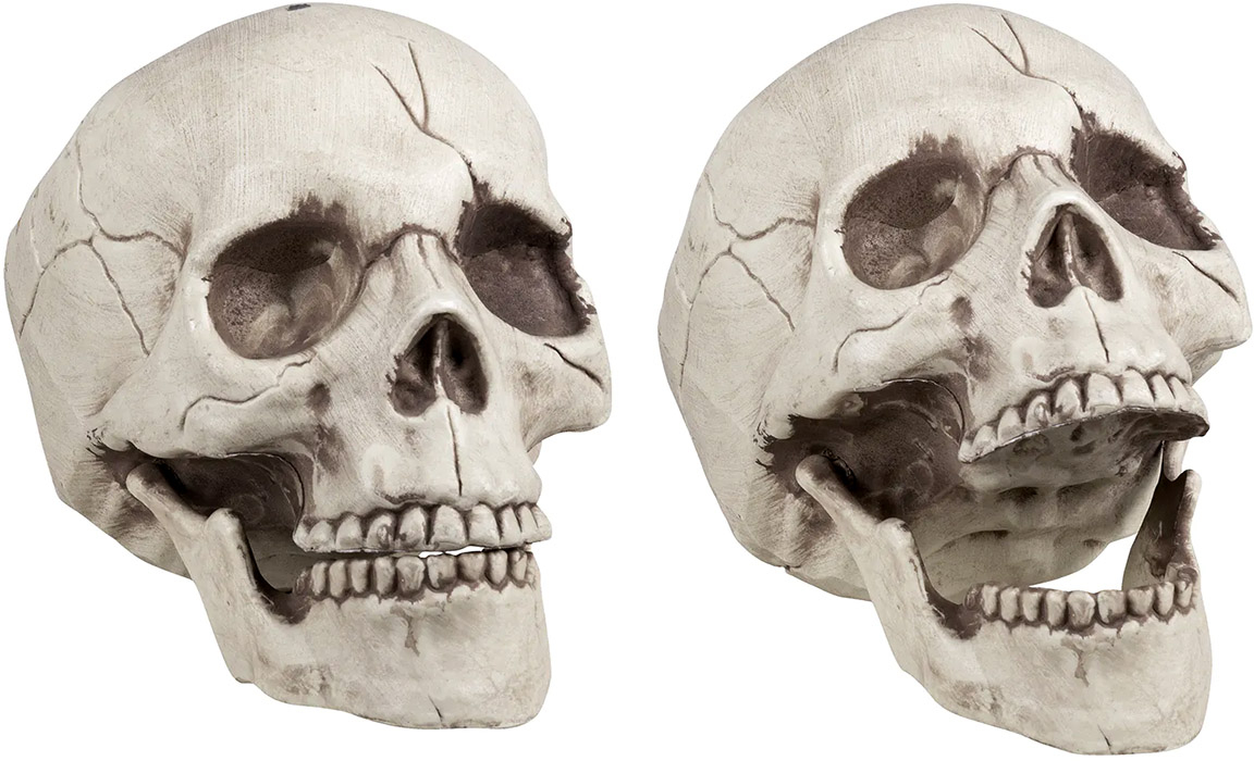 Kranie med bevægelig kæbe