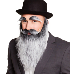 Gråt fuldskæg og øjenbryn