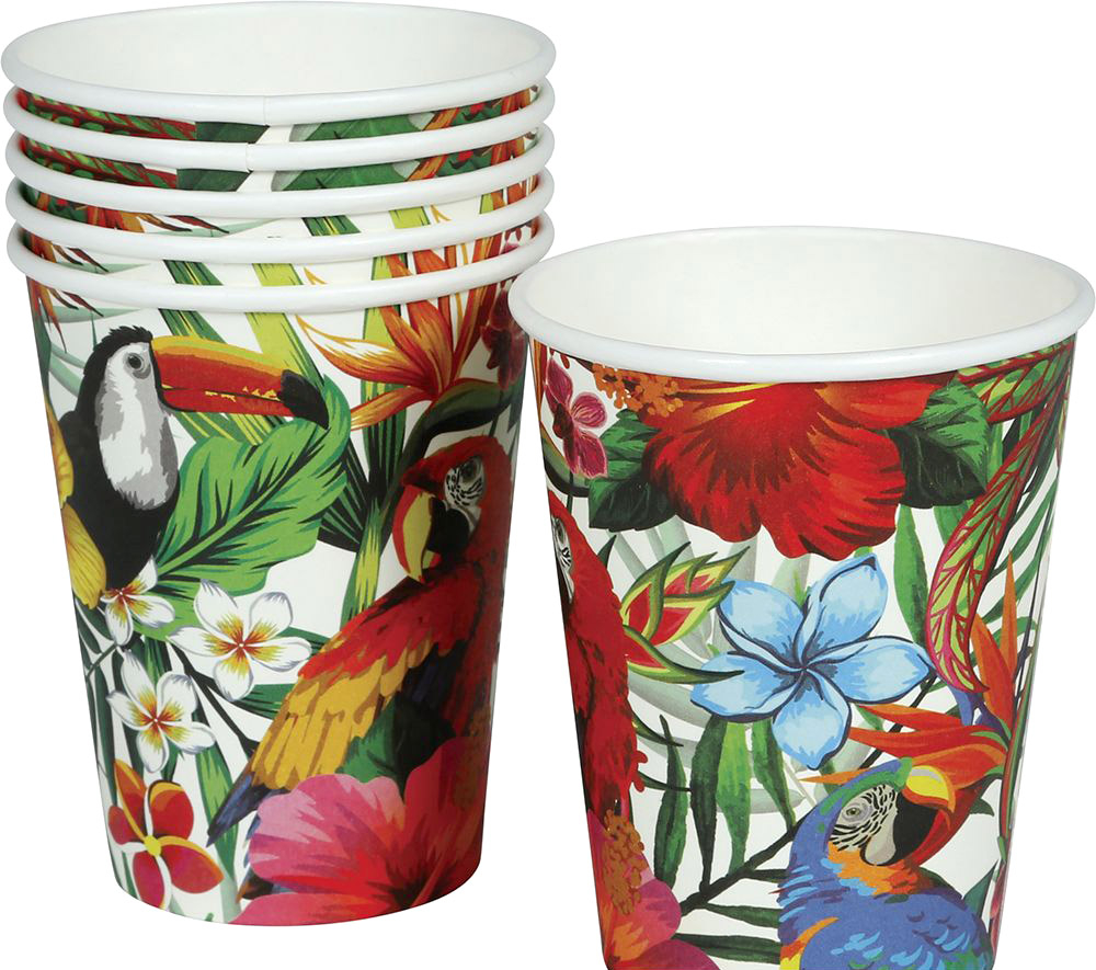 Papkrus Hawaii 6-pak