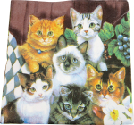 Servietter katte 20-pak