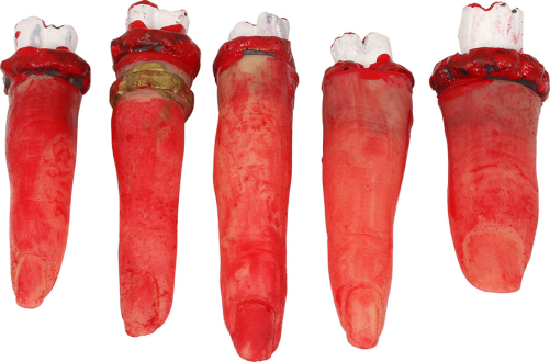 Afhuggede fingre 5-pak